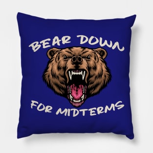 Bear Down Pillow