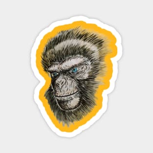 Planet Of The Apes/Cornelius!! Magnet