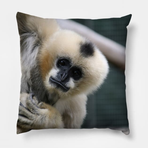 White-Cheeked Gibbon Pillow by LeanneAllen