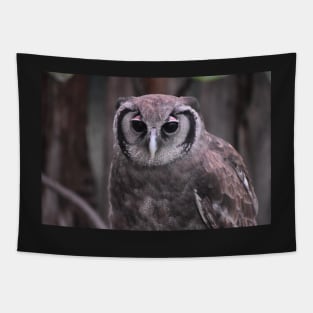 Milky Eagle Owl Tapestry