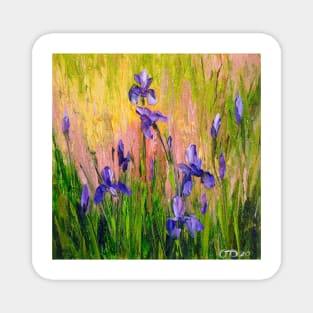 Irises Magnet