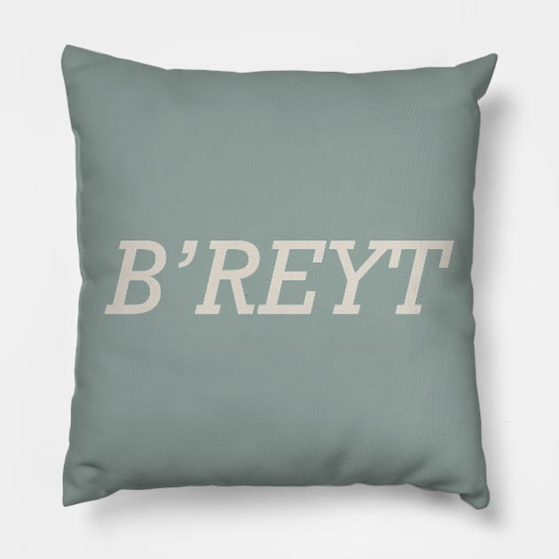 Yorkshire Slang B’reyt Pillow by StanStarkDesigns