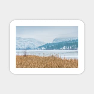 Frozen Winter Lake and Forest Landscape Magnet