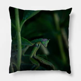 Praying Mantis Pillow