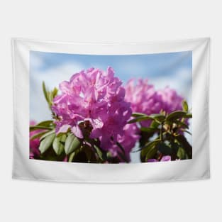 Purple rhododendron flower Tapestry