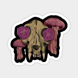 Shroom skull Magnet