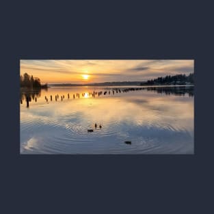 Peaceful Ducks at Golden Hour on Lake Washington T-Shirt