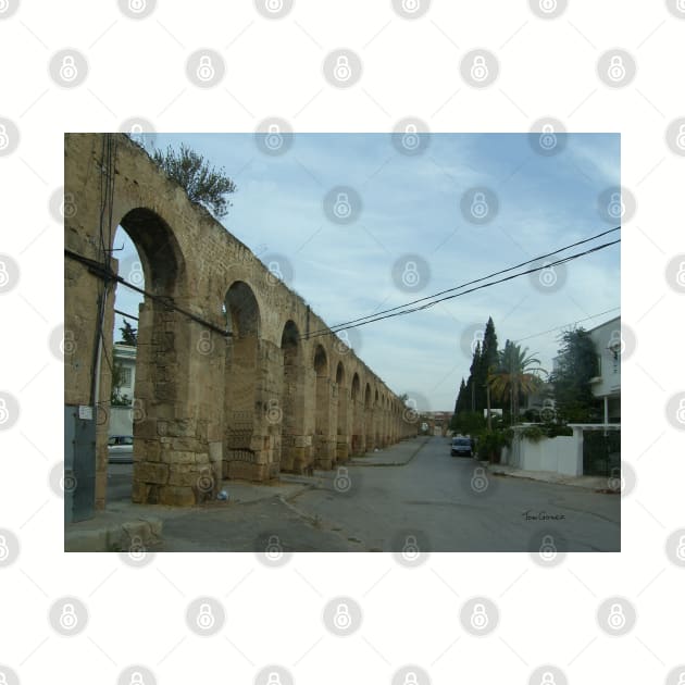 Roman Aqueduct by tomg