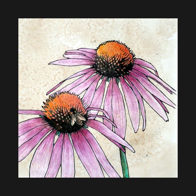 Echinacea 2 by BeeG