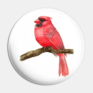 Cardinal bird watercolor Pin