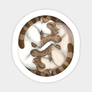 Yin-Yang Cats: Cinnamon Lynx Point Magnet