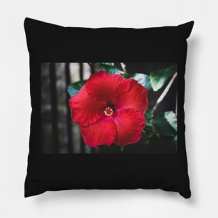 Hibiscus 3 Pillow