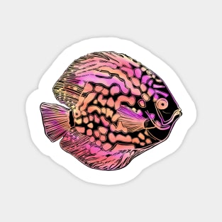 Colorful Fish Magnet