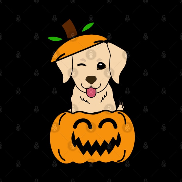 Funny golden retriever is in a pumpkin by Pet Station