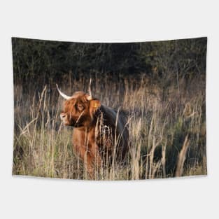 Highland Cattle / Swiss Artwork Photography Tapestry