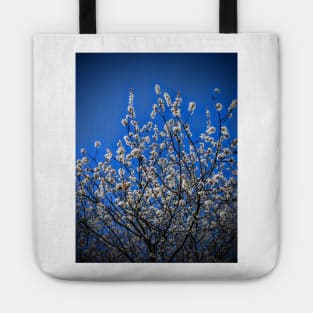 Apple Blossoms in May Tote