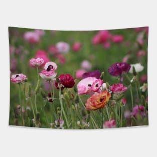 Jelly Bean Colored Ranunculus Tapestry