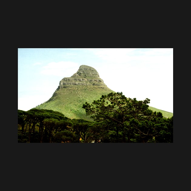 Lion's Head from Table Mountain, Cape Town by Carole-Anne