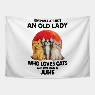 Never Underestimate An Old Lady Who Loves Cats And Was Born In June Tapestry