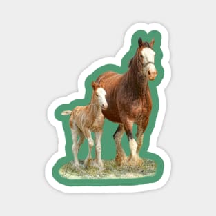 Clydesdale Mare and Foal Magnet