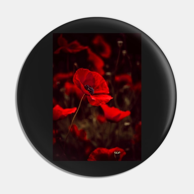 Red Poppies Pin by Felicity-K