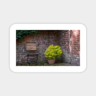 English Country Garden Geraniums and Chair Magnet