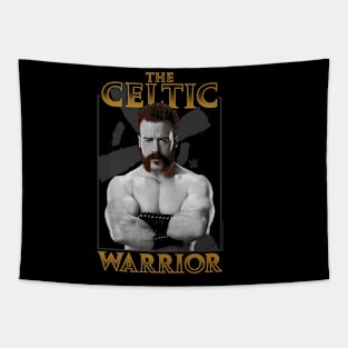 Sheamus The Celtic Warrior Epic Tapestry