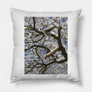 Wintry Pillow