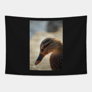 Duck Tapestry