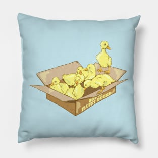 Box of fluffy ducks Pillow