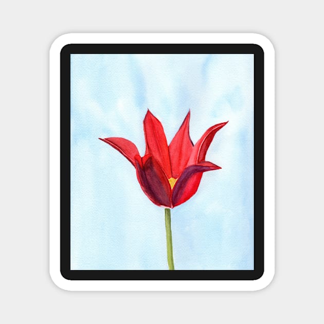 Lily Flowering Tulip Magnet by Sandraartist