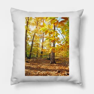 Woodland Trees in Autumn Pillow