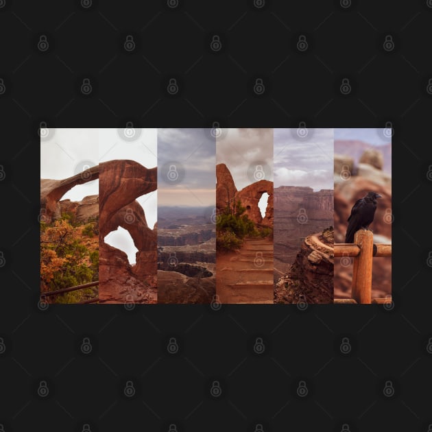 Moab Utah Collage by stermitkermit
