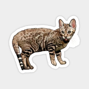 Brown Bengal Cat Blep Magnet