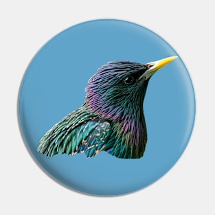 Starling Pin