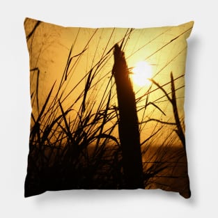 Tropical sunset Pillow