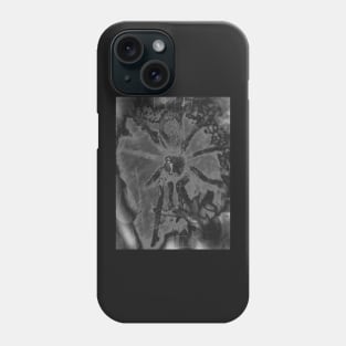 Tarantula Spiderling V33 Phone Case