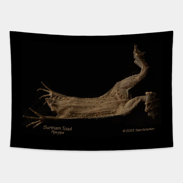 Surinam Toad - Pipa Pipa Tapestry by Stone Forest Waters