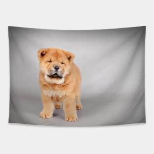 Chow chow  puppy Tapestry