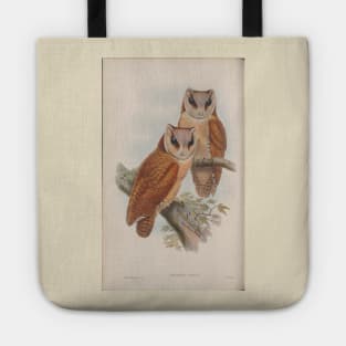 Owls Tote