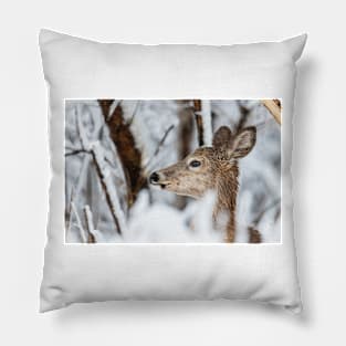 Oh Deer Pillow