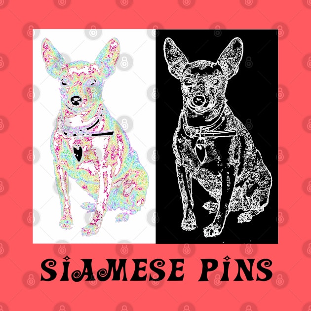 Siamese Pins by amigaboy