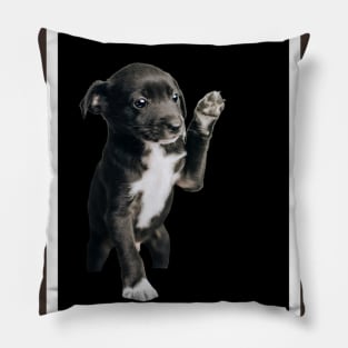 Black puppie Pillow