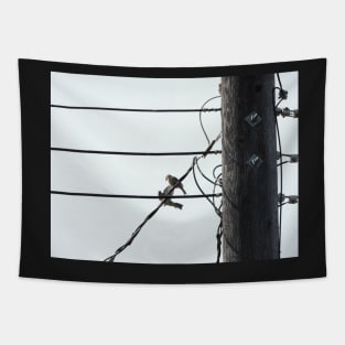 birds on a wire Tapestry