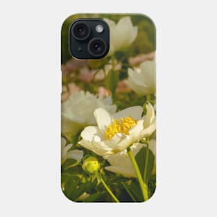 Blooming White Peony Flowers Phone Case