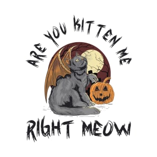 Are You Kitten Meow Right Now - Funny Halloween Cat Pun, Halloween Cat Humor, Halloween Cat Quote, Dark Night Grave Grim Design Funny Gift Idea For Cat Lover T-Shirt