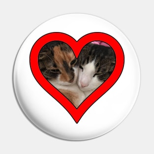 Our Cats Pin