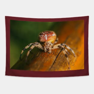 Wild life design Tapestry