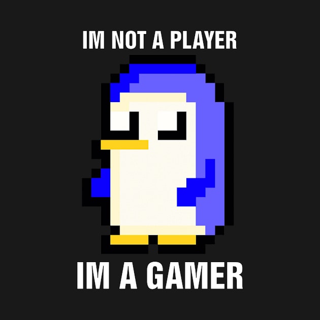 Im Not A Player Im A Gamer by richercollections