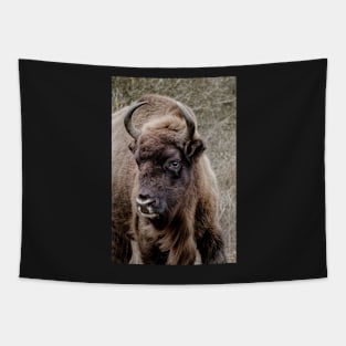 European bison portrait Tapestry